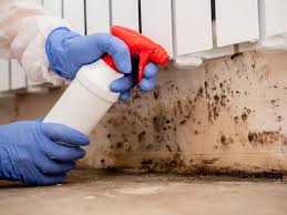 Best Comprehensive Air Testing for Mold Contaminants  in Spencer, OK